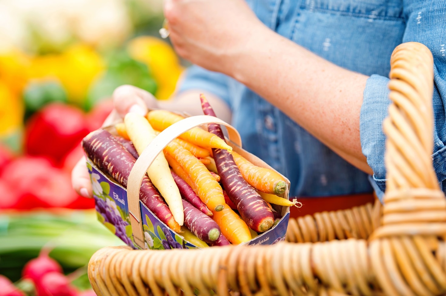 Transitioning To A Greener Conscious Lifestyle